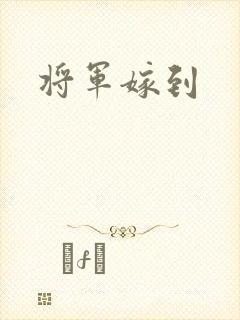 将军嫁到