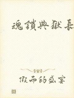 魂锁典狱长封面