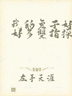 我的兔子好软水好多双指探洞小说封面