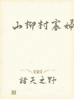 山柳村寡妇情史封面