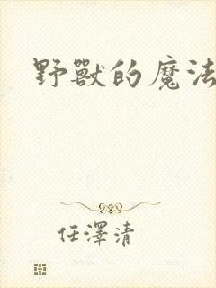 野兽的魔法师