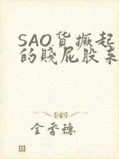 SAO货撅起你的贱屁股来
