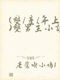 (双/产/年上)双男主小说