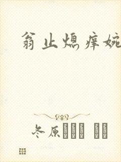 翁止熄痒婉燕封面