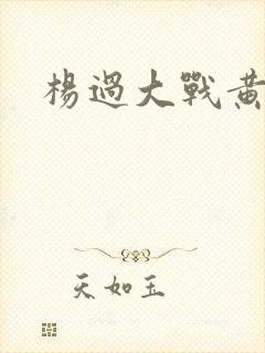 杨过大战黄蓉