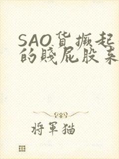SAO货撅起你的贱屁股来
