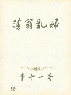 荡翁乱妇