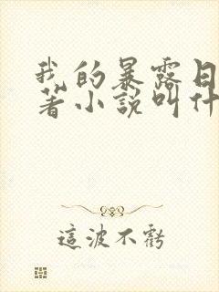 我的暴露日记原著小说叫什么