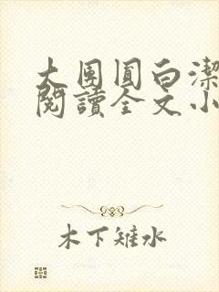 大团圆白洁免费阅读全文小说封面