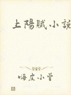 上阳赋小说