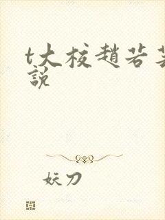 t大校赵若芸小说封面
