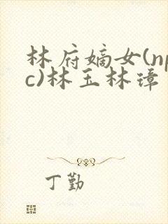 林府嫡女(npc)林玉林璋