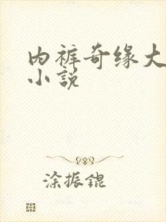 内裤奇缘大团结小说封面