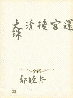 大清后宫还君明珠封面