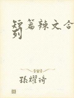 短篇辣文合集系列