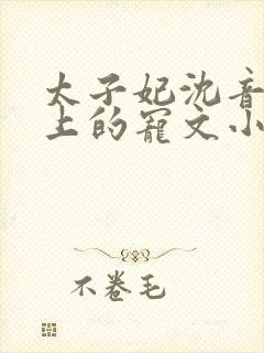 太子妃沈音和皇上的宠文小说封面