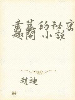 黄蓉的秘密 笔趣阁 小说封面