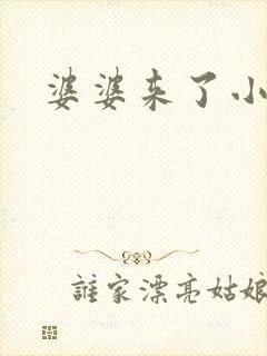 婆婆来了小说