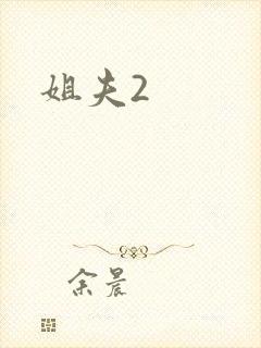 姐夫2
