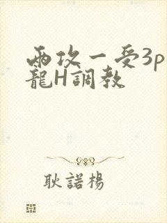 两攻一受3p双龙H调教