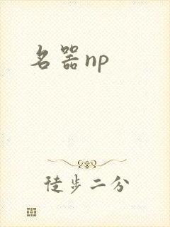 名器np
