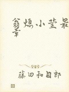 翁熄小莹最新节章