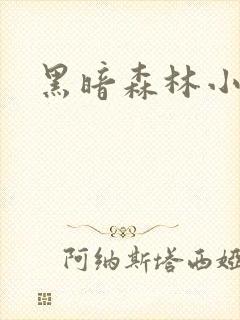 黑暗森林小说