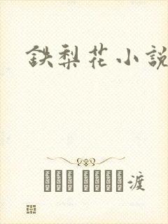 铁梨花小说