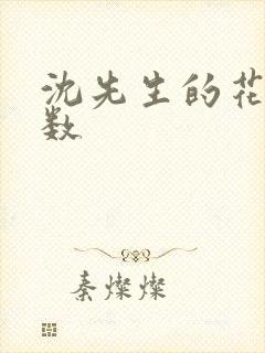 沈先生的花式调数封面