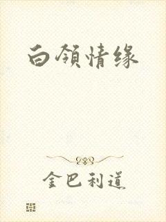 白领情缘