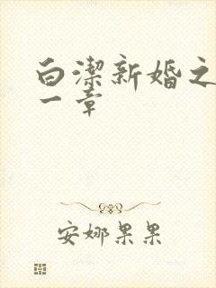 白洁新婚之夜第一章