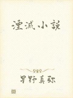 湮灭小说