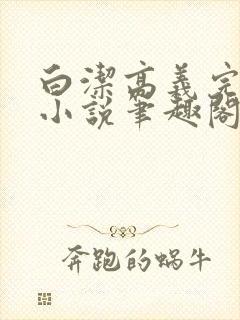 白洁高义完整版小说笔趣阁封面