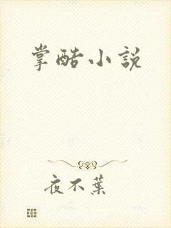 掌酷小说