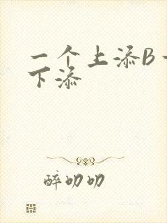 一个上添B一个下添