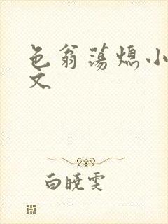 色翁荡熄小说全文