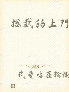 总裁的上门女婿封面