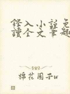 锋入小说免费阅读全文笔趣阁封面