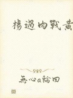 杨过肉战黄蓉