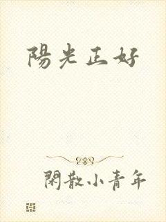 阳光正好封面