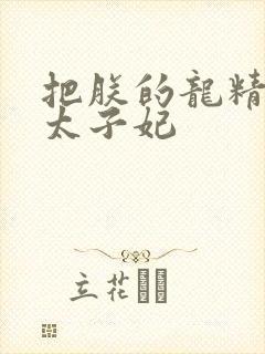 把朕的龙精含h太子妃封面