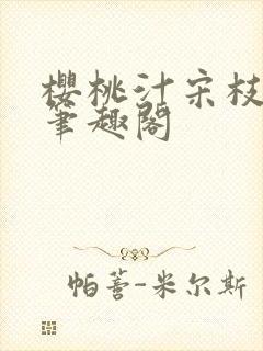 樱桃汁宋枝江野笔趣阁封面