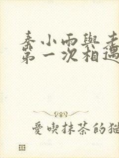 秦小雨与老旺的第一次相遇封面