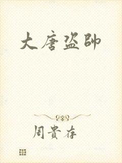大唐盗帅