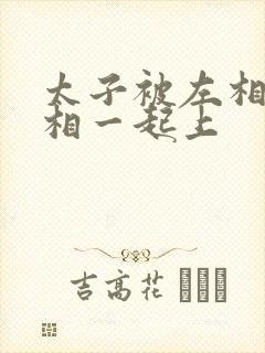太子被左相和右相一起上