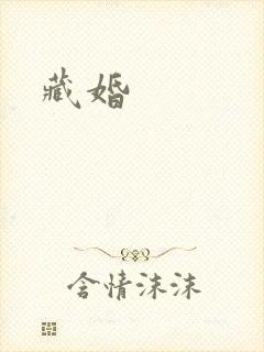 藏婚封面