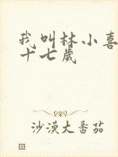 我叫林小喜今年十七岁封面