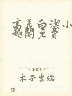 高义白洁小说笔趣阁免费
