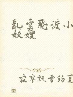 乱云飞渡小说之姣嫂