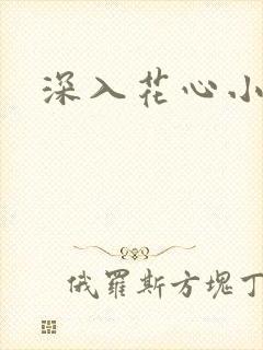 深入花心小说